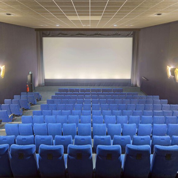 Firmen Event im Kino organisueren- Red Carper Event