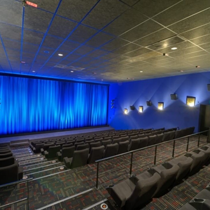 Kino für event buchen- Red Carpet Event