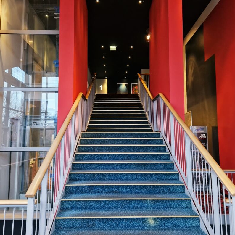Eventagentur in emden- Red Carpet Event