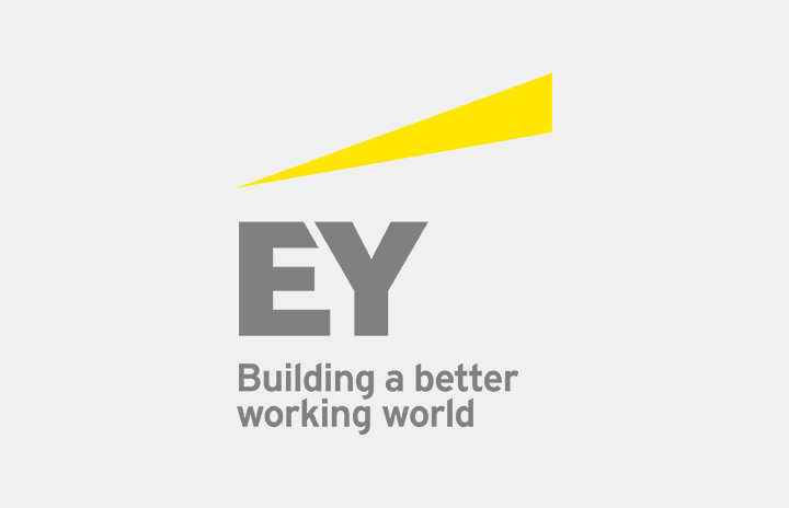 ernst und young wirtschaftspruefungsgesellschaft