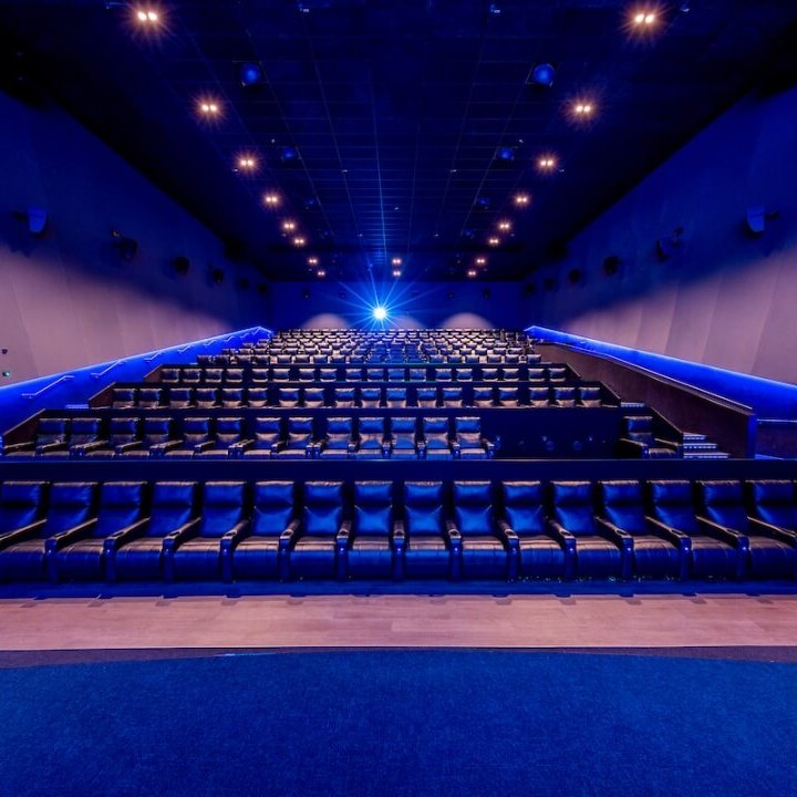 Firmenevent in Potsdam organisieren Agentur- red carpet event