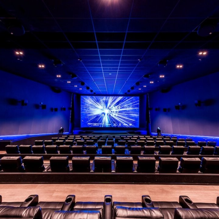 iSense-Saal Firmenfeier Potsdam organisieren- red carpet event
